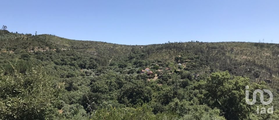 Farm T6 in Chãos of 650 m²