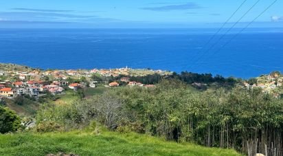 Terrain à bâtir à São Jorge de 1 920 m²