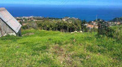 Terrain à bâtir à São Jorge de 1 920 m²