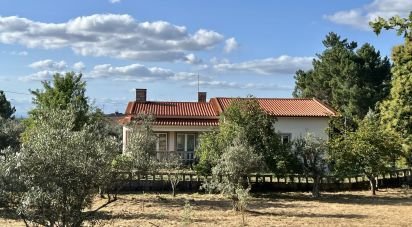 Gîte T3 à Carragozela e Várzea de Meruge de 528 m²