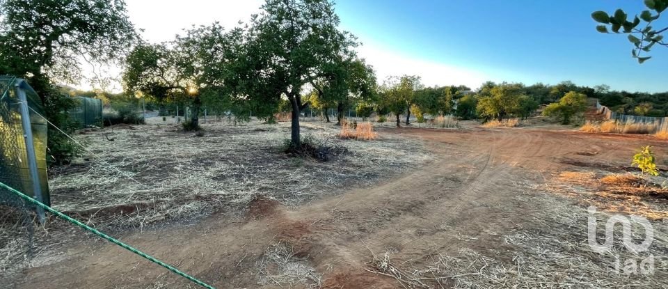 Land in Boliqueime of 8,000 m²