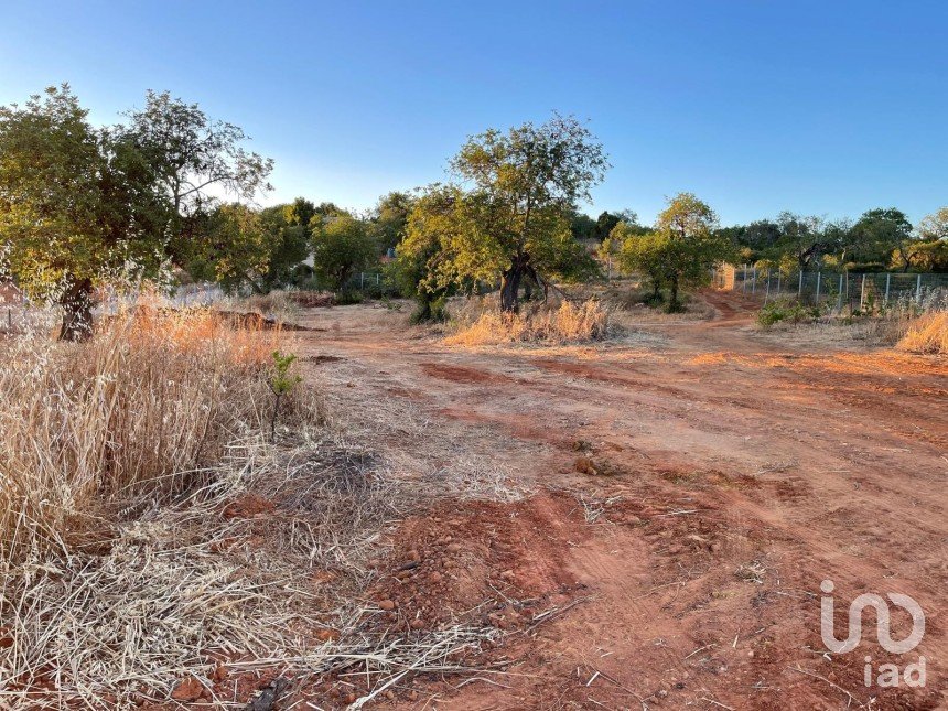 Land in Boliqueime of 8,000 m²