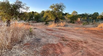 Terrain à Boliqueime de 8 000 m²