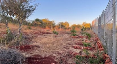 Terrain à Boliqueime de 8 000 m²