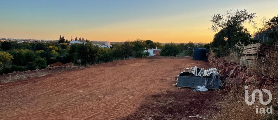 Land in Boliqueime of 8,000 m²