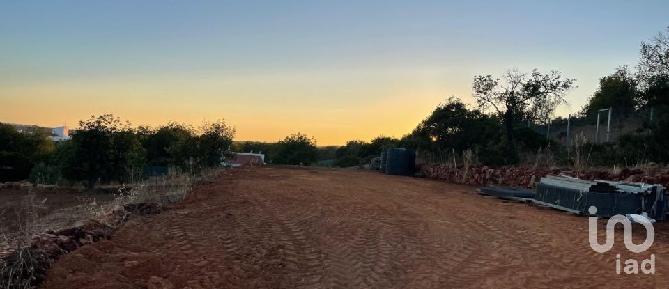 Land in Boliqueime of 8,000 m²