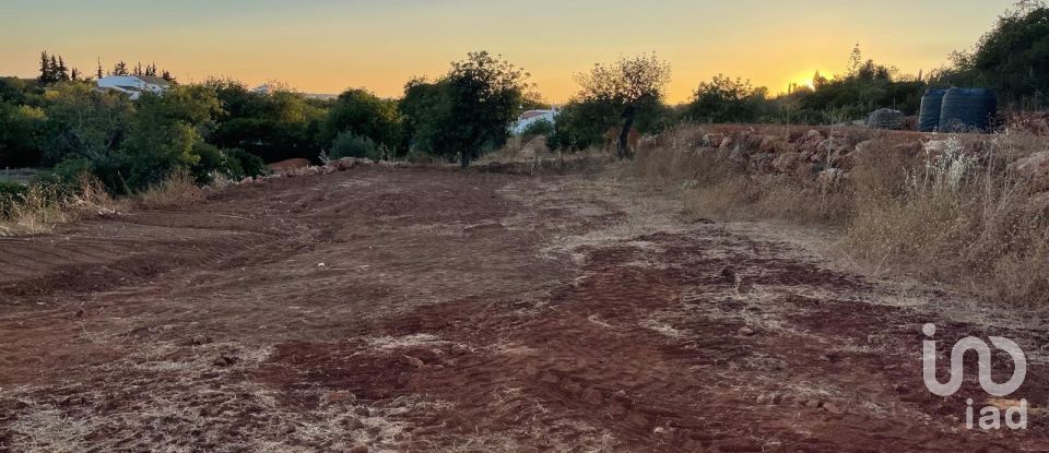 Land in Boliqueime of 8,000 m²