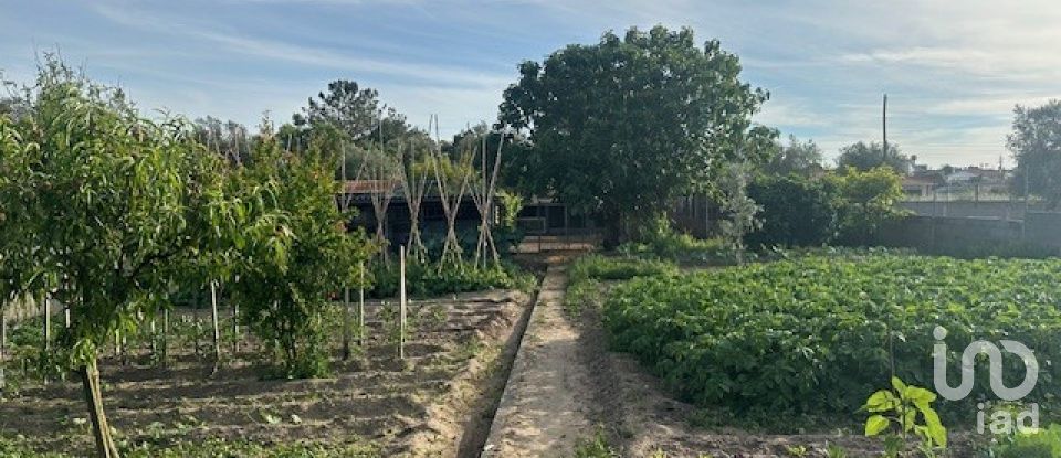 Casa tradicional T5 em Souto da Carpalhosa e Ortigosa de 197 m²