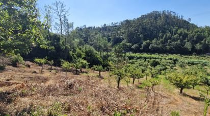 Terrain à Azueira e Sobral da Abelheira de 6 250 m²