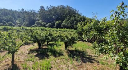 Terrain à Azueira e Sobral da Abelheira de 6 250 m²
