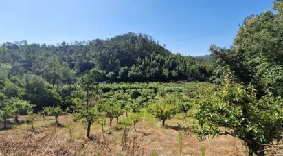 Terrain à Azueira e Sobral da Abelheira de 6 250 m²