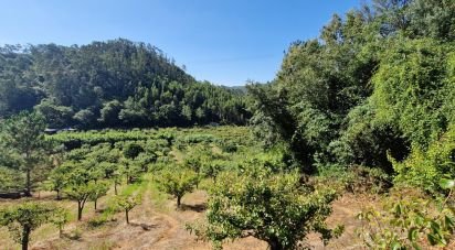 Terrain à Azueira e Sobral da Abelheira de 6 250 m²