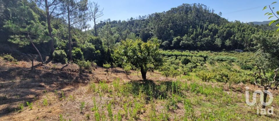 Terreno em Azueira e Sobral da Abelheira de 6 250 m²