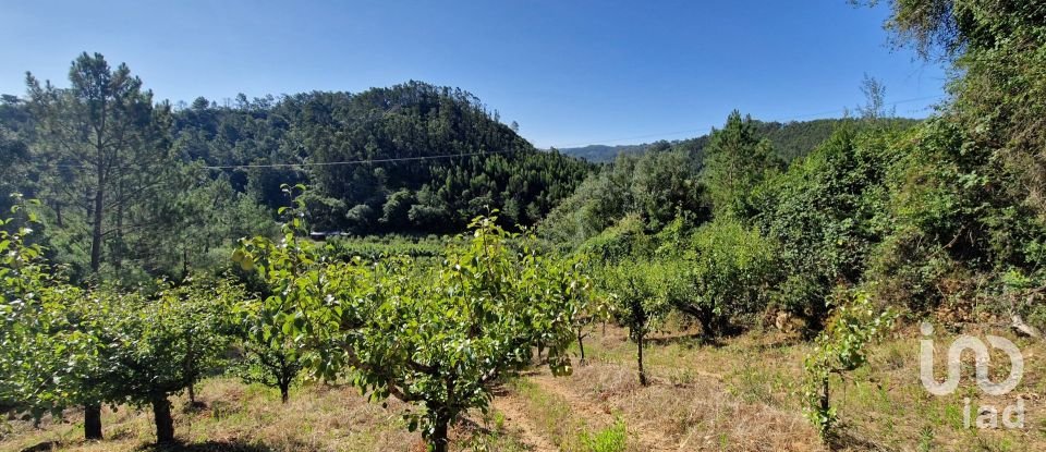 Terreno em Azueira e Sobral da Abelheira de 6 250 m²