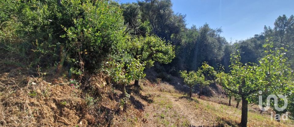 Terreno em Azueira e Sobral da Abelheira de 6 250 m²