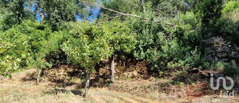 Terreno em Azueira e Sobral da Abelheira de 6 250 m²