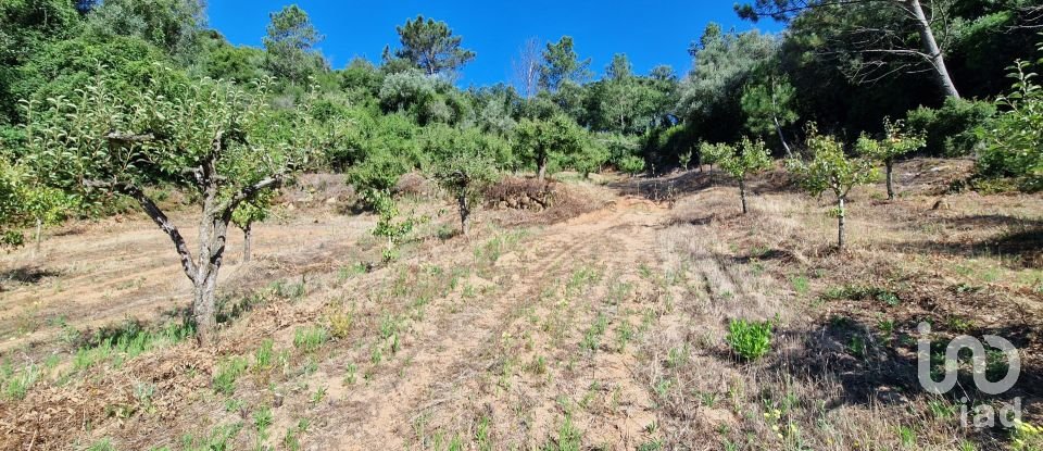 Terreno em Azueira e Sobral da Abelheira de 6 250 m²