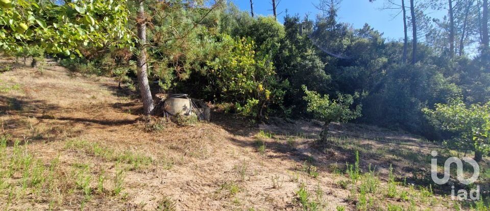 Terreno em Azueira e Sobral da Abelheira de 6 250 m²