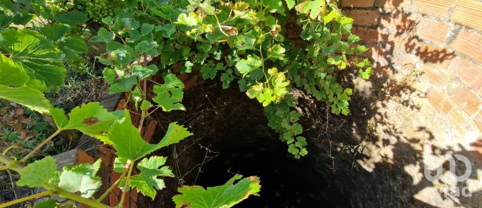 Terreno em Azueira e Sobral da Abelheira de 6 250 m²