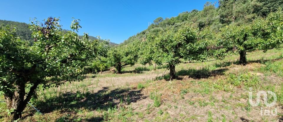 Terreno em Azueira e Sobral da Abelheira de 6 250 m²