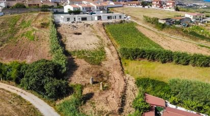Gîte T3 à Lourinhã e Atalaia de 145 m²