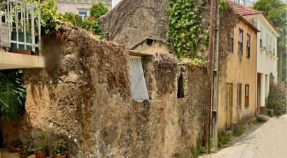 Terrain à bâtir à Pinheiro da Bemposta, Travanca e Palmaz de 880 m²