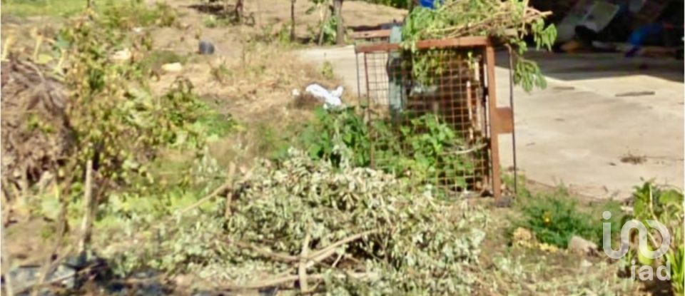 Terreno urbano em Pinheiro da Bemposta, Travanca e Palmaz de 880 m²