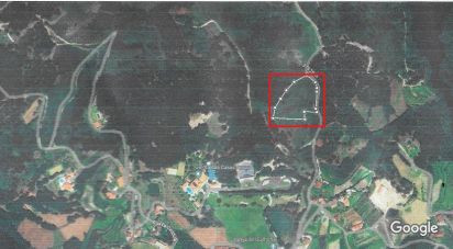 Terrain à Guilhofrei de 8 200 m²