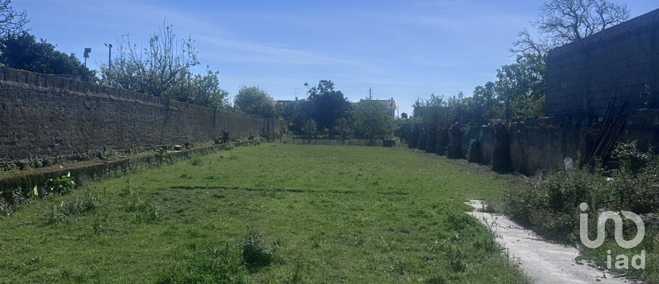 Lodge T12 in Ílhavo (São Salvador) of 402 m²