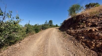 Building plot in Querença, Tôr e Benafim of 3,702 m²