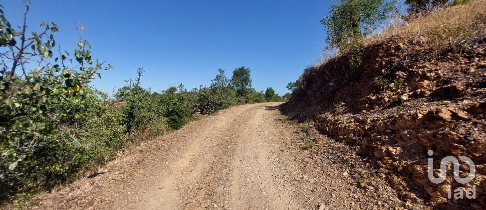 Building plot in Querença, Tôr e Benafim of 3,702 m²