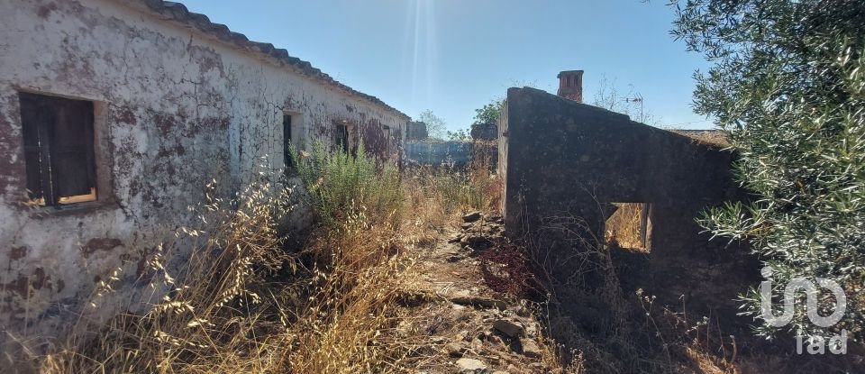 Building plot in Querença, Tôr e Benafim of 3,702 m²