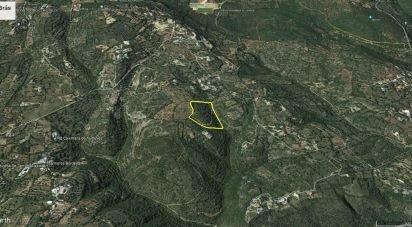 Farm land in São Brás de Alportel of 21,405 m²