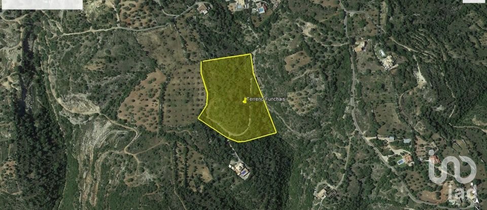 Terreno rústico em São Brás de Alportel de 21 405 m²