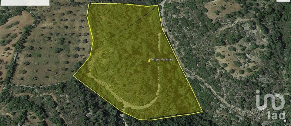 Terreno rústico em São Brás de Alportel de 21 405 m²