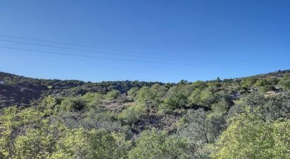 Terrain agricole à São Brás de Alportel de 21 405 m²