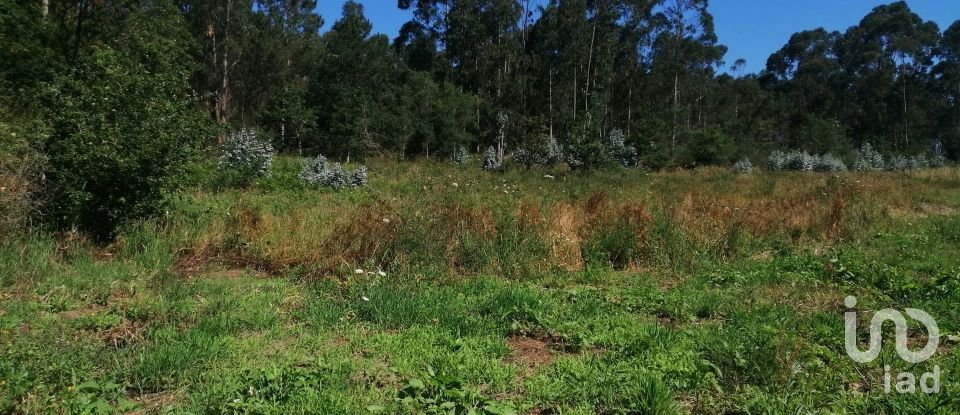 Terreno urbano em São romão de neiva de 8 800 m²