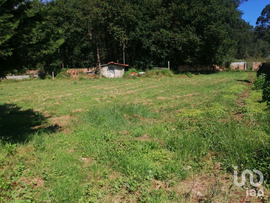 Terreno urbano em São romão de neiva de 8 800 m²