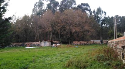 Building plot in São romão de neiva of 8,800 m²