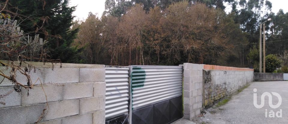 Terreno urbano em São romão de neiva de 8 800 m²