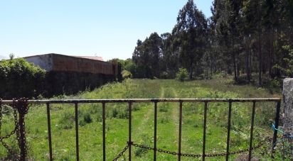 Building plot in São romão de neiva of 8,800 m²