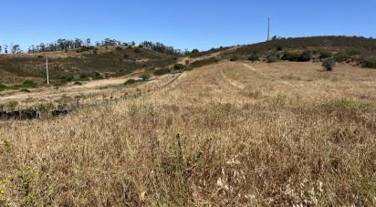 Terrain à Barão de São Miguel de 5 880 m²