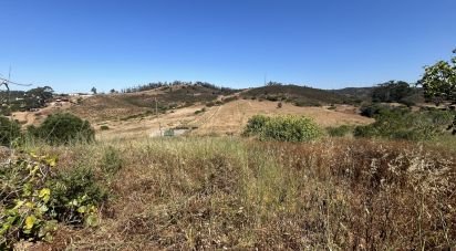 Terrain à Barão de São Miguel de 5 880 m²