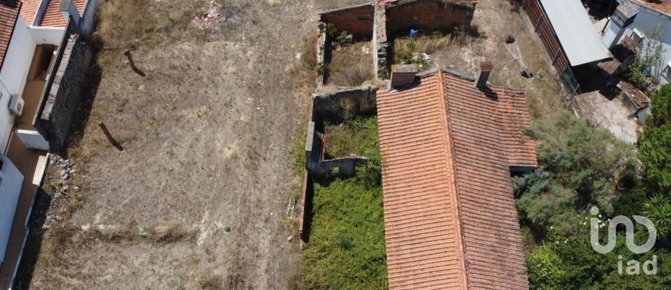 Casa de Campo T1 em Brogueira, Parceiros de Igreja e Alcorochel de 74 m²