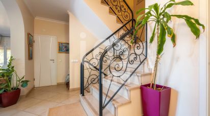 Traditional house T5 in Almancil of 467 m²
