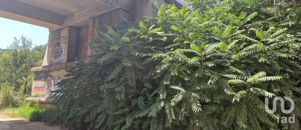 Terreno em Carvoeira de 2 500 m²