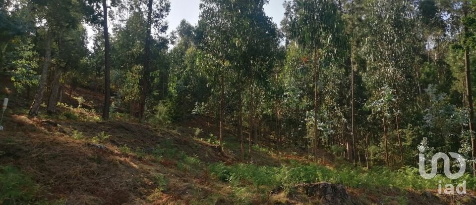 Terrain à Fontoura de 4 850 m²