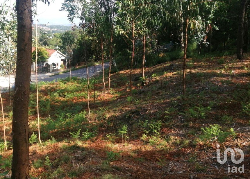 Terrain à Fontoura de 4 850 m²