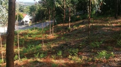 Land in Fontoura of 4,850 m²