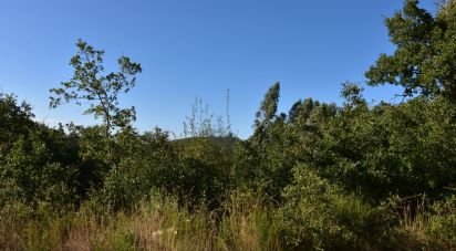 Terrain à Chãos de 2 240 m²